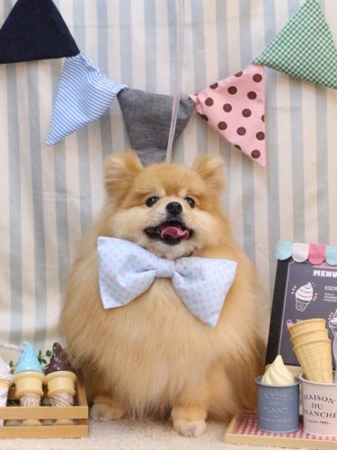 20250525梛都ちゃん